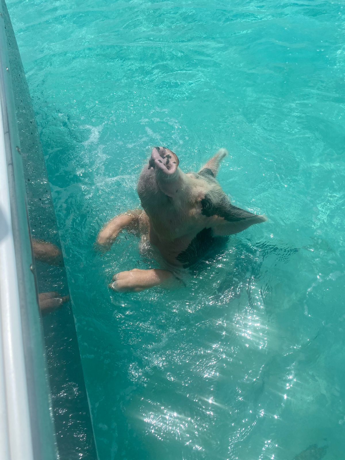 Yacht deck detail